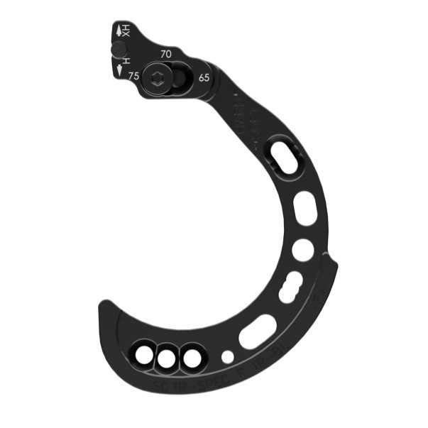 Hoyt Modules SPEC